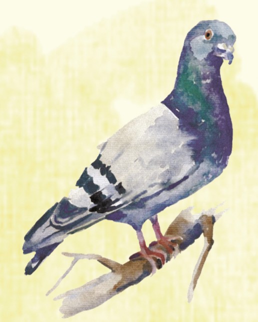 9